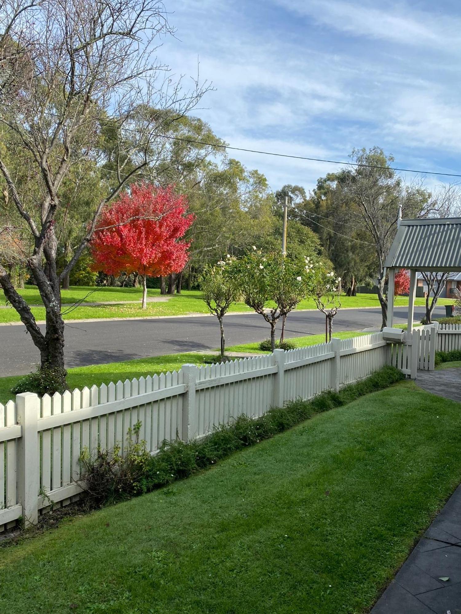 Creek Cottage Bed And Breakfast Traralgon Ngoại thất bức ảnh